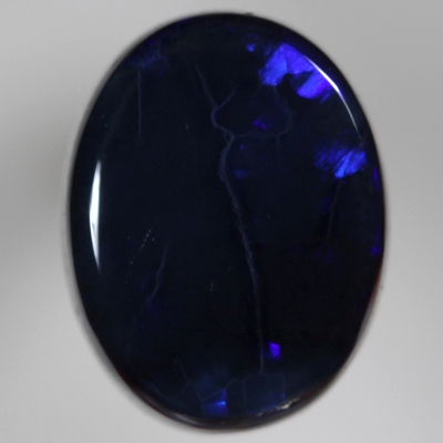 SOLID BLACK OPAL Electric royal blue moves in rolling flashes